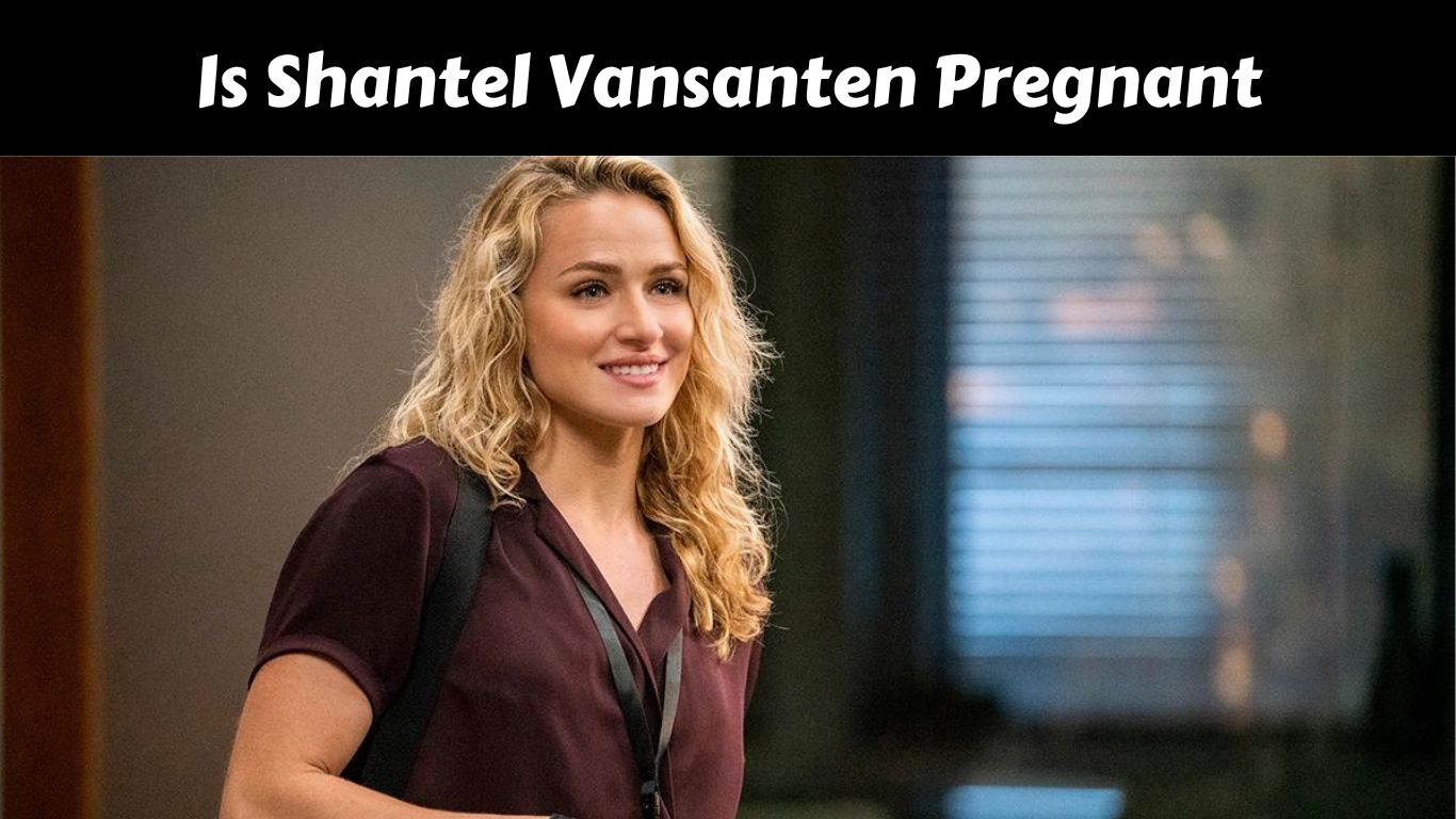 Is Shantel Vansanten Pregnant