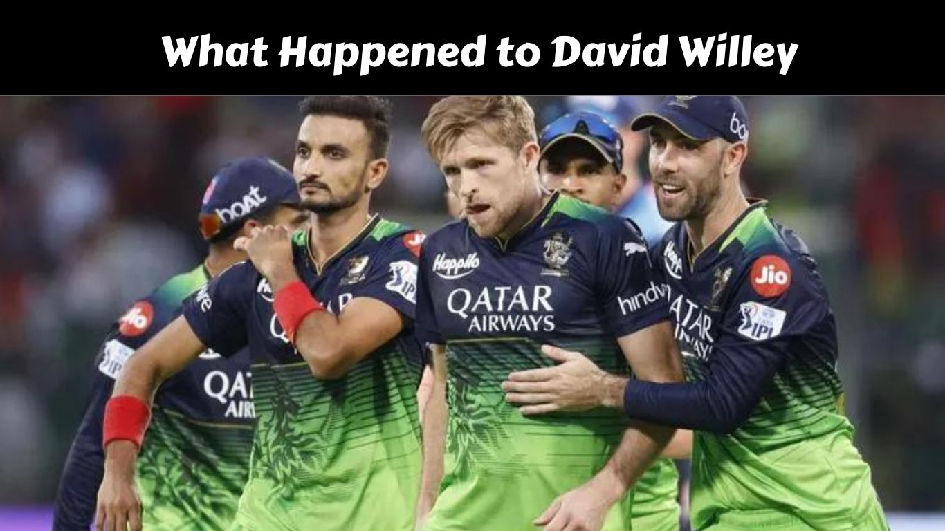 What Happened to David Willey