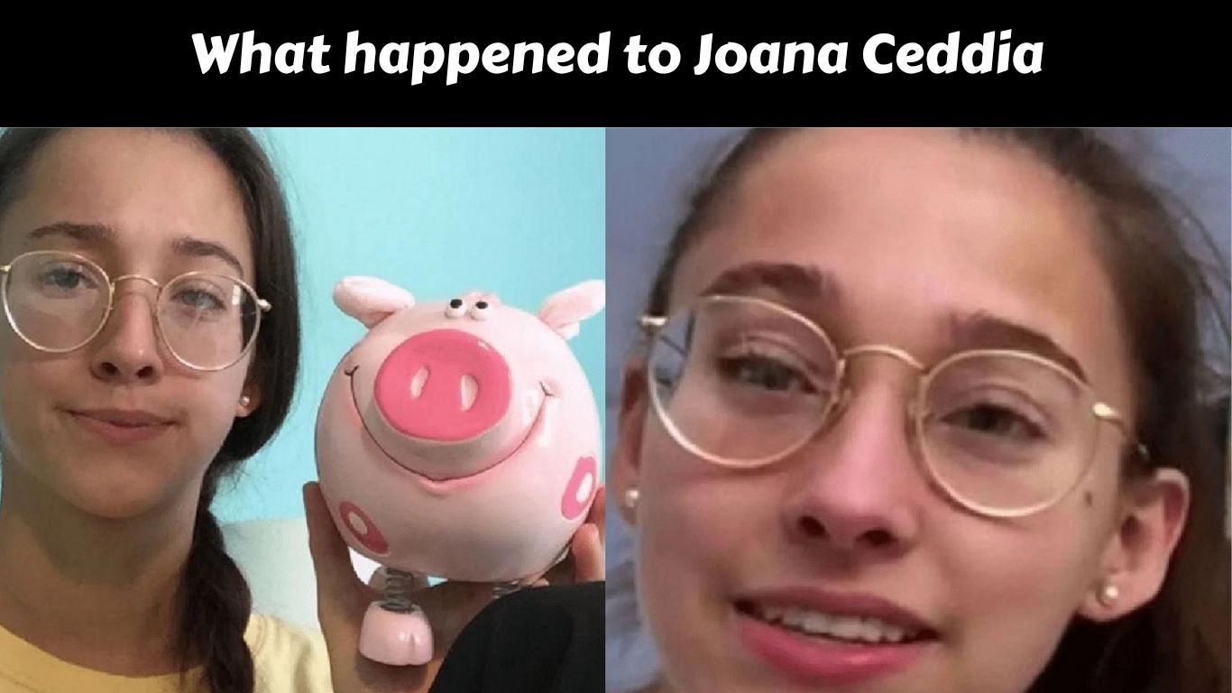 What happened to Joana Ceddia
